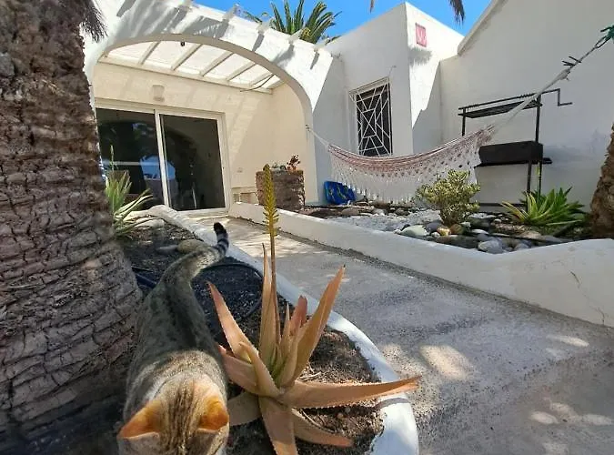 Palm Point Apartmán