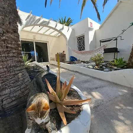 Palm Point Apartment