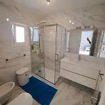 Palm Point Apartment